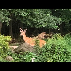 Meet your Posher, Greg